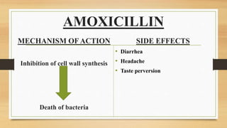 AMOXICILLIN
MECHANISM OF ACTION
Inhibition of cell wall synthesis
Death of bacteria
SIDE EFFECTS
• Diarrhea
• Headache
• Taste perversion
 