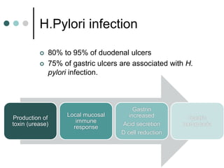 H.Pylori infection
 80% to 95% of duodenal ulcers
 75% of gastric ulcers are associated with H.
pylori infection.
Production of
toxin (urease)
Local mucosal
immune
response
Gastrin
increased
Acid secretion
D cell reduction
Gastric
metaplasia
 