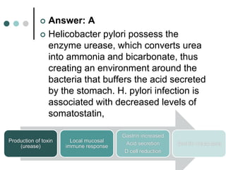  Answer: A
 Helicobacter pylori possess the
enzyme urease, which converts urea
into ammonia and bicarbonate, thus
creating an environment around the
bacteria that buffers the acid secreted
by the stomach. H. pylori infection is
associated with decreased levels of
somatostatin,
Production of toxin
(urease)
Local mucosal
immune response
Gastrin increased
Acid secretion
D cell reduction
Gastric metaplasia
 