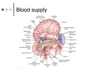 Blood supply
 