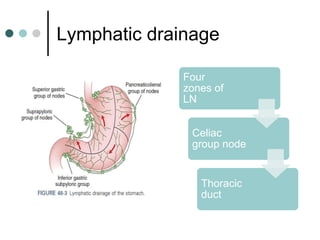 Lymphatic drainage
Four
zones of
LN
Celiac
group node
Thoracic
duct
 