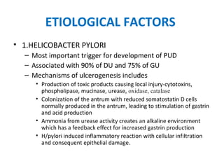 ETIOLOGICAL FACTORS
• 1.HELICOBACTER PYLORI
– Most important trigger for development of PUD
– Associated with 90% of DU and 75% of GU
– Mechanisms of ulcerogenesis includes
• Production of toxic products causing local injury-cytotoxins,
phospholipase, mucinase, urease, oxidase, catalase
• Colonization of the antrum with reduced somatostatin D cells
normally produced in the antrum, leading to stimulation of gastrin
and acid production
• Ammonia from urease activity creates an alkaline environment
which has a feedback effect for increased gastrin production
• H/pylori induced inflammatory reaction with cellular infiltration
and consequent epithelial damage.
 