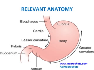 RELEVANT ANATOMY
www.medrockets.com
Fb:Medrockets
 