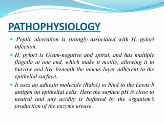 PATHOPHYSIOLOGY
 Peptic ulceration is strongly associated with H. pylori
infection.
 H. pylori is Gram-negative and spiral, and has multiple
flagella at one end, which make it motile, allowing it to
burrow and live beneath the mucus layer adherent to the
epithelial surface.
 It uses an adhesin molecule (BabA) to bind to the Lewis b
antigen on epithelial cells. Here the surface pH is close to
neutral and any acidity is buffered by the organism’s
production of the enzyme urease.
 