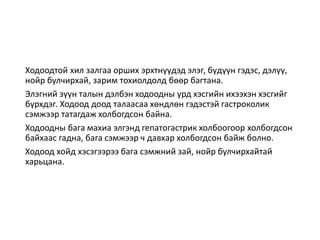 Ходоодтой хил залгаа орших эрхтнүүдэд элэг, бүдүүн гэдэс, дэлүү,
нойр булчирхай, зарим тохиолдолд бөөр багтана.
Элэгний зүүн талын дэлбэн ходоодны урд хэсгийн ихээхэн хэсгийг
бүрхдэг. Ходоод доод талаасаа хөндлөн гэдэстэй гастроколик
сэмжээр татагдаж холбогдсон байна.
Ходоодны бага махиа элгэнд гепатогастрик холбоогоор холбогдсон
байхаас гадна, бага сэмжээр ч давхар холбогдсон байж болно.
Ходоод хойд хэсэгээрээ бага сэмжний зай, нойр булчирхайтай
харьцана.
 