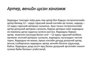 Артер, венийн цусан хангамж
Ходоодыг тэжээдэг хоёр дахь том артер бол баруун гастроэпиплойк
артер бөгөөд 12 – хуруу гэдэсний эхний хэсгийн ар талаас, ходоод –
12 хуруу гэдэсний артераас салаална. Зүүн талын гастроэпиплойк
артер дэлүүний артераас салаалж, баруун артерын хамт ходоодны
их махианы дагуу судасны сүлжээ үүсгэнэ. Ходоодны баруун
артер ихэвчлэн нугалуур болон элэг – 12 хуруу гэдэсний холбоос
орчмоос элэгний артераас салаалж, ходоодны нугалуурыг чиглэж
гарна. Ходоодны их махиа, ёроол хэсгийн дагууд дэлүүний артер,
венээс салбарласан ходоодны артер, венийн богино судаснууд
байна. Ходоодны дээд хэсэгт өрц болон дэлүүний эргэлтийн нэмэлт
сүлжээ байж болохыг үгүйсгэхгүй.
 