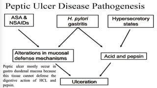 Peptic ulcer mostly occur in
gastro duodenal mucosa because
this tissue cannot defense the
digestive action of HCL and
pepsin.
 