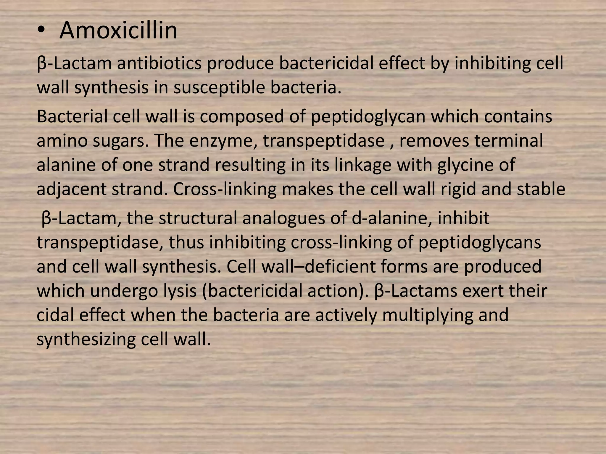 • Amoxicillin
β-Lactam antibiotics produce bactericidal effect by inhibiting cell
wall synthesis in susceptible bacteria.
Bacterial cell wall is composed of peptidoglycan which contains
amino sugars. The enzyme, transpeptidase , removes terminal
alanine of one strand resulting in its linkage with glycine of
adjacent strand. Cross-linking makes the cell wall rigid and stable
β-Lactam, the structural analogues of d-alanine, inhibit
transpeptidase, thus inhibiting cross-linking of peptidoglycans
and cell wall synthesis. Cell wall–deficient forms are produced
which undergo lysis (bactericidal action). β-Lactams exert their
cidal effect when the bacteria are actively multiplying and
synthesizing cell wall.
 