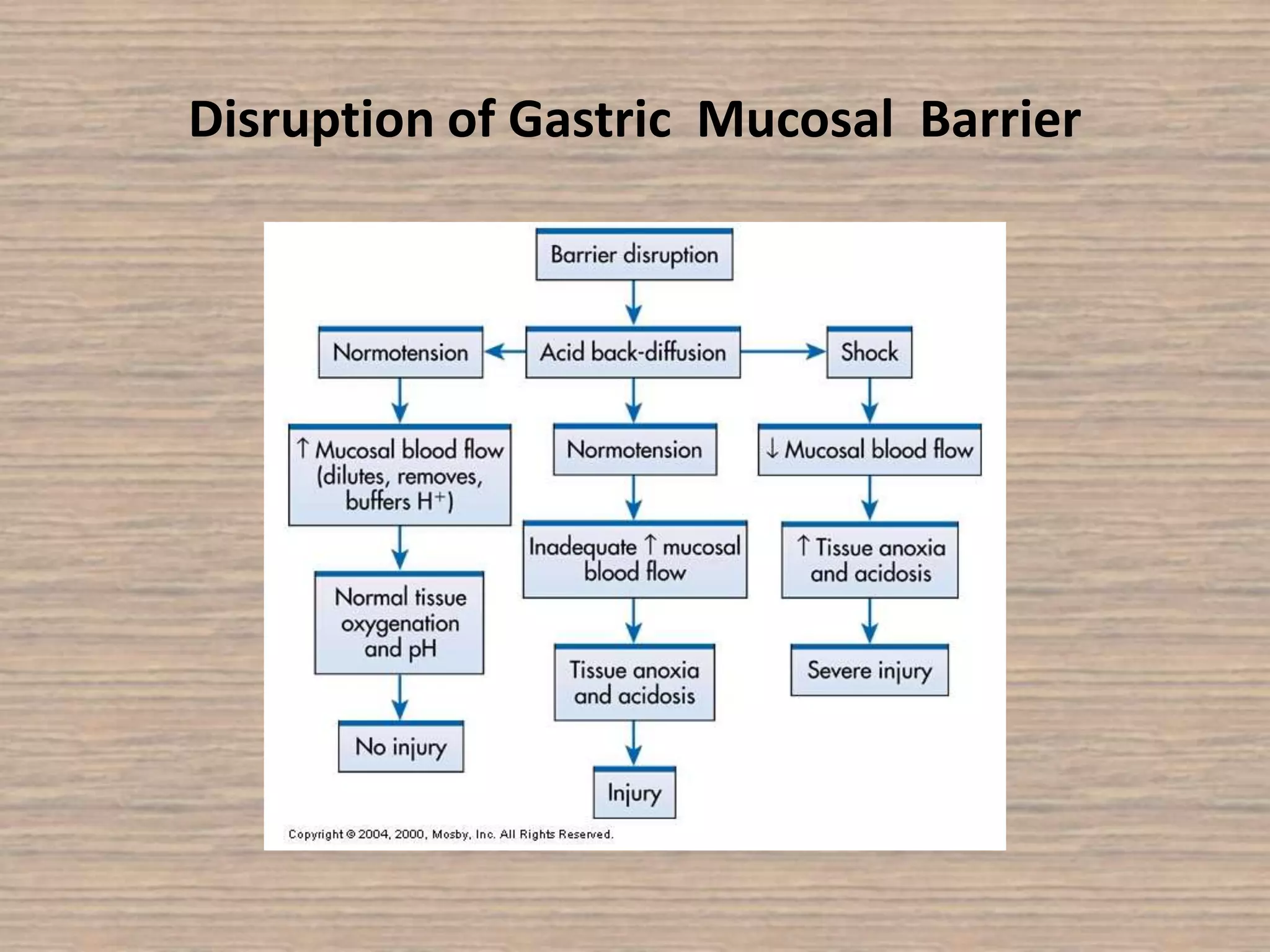 Disruption of Gastric Mucosal Barrier
 