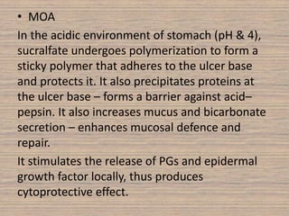 • MOA
In the acidic environment of stomach (pH & 4),
sucralfate undergoes polymerization to form a
sticky polymer that adheres to the ulcer base
and protects it. It also precipitates proteins at
the ulcer base – forms a barrier against acid–
pepsin. It also increases mucus and bicarbonate
secretion – enhances mucosal defence and
repair.
It stimulates the release of PGs and epidermal
growth factor locally, thus produces
cytoprotective effect.
 