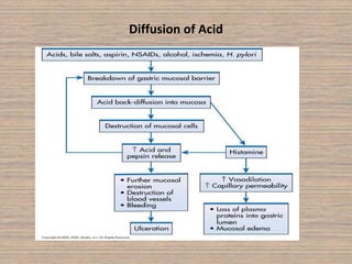 Diffusion of Acid
 