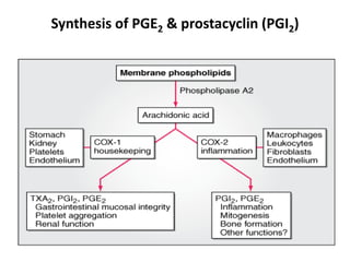 Synthesis of PGE2 & prostacyclin (PGI2)
 
