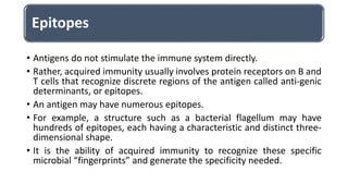Peptic ulcer disease Pathology.pptx