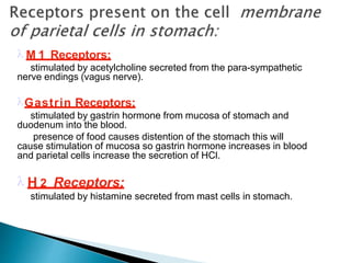  M 1 Receptors:
stimulated by acetylcholine secreted from the para-sympathetic
nerve endings (vagus nerve).
Gastrin Receptors:
stimulated by gastrin hormone from mucosa of stomach and
duodenum into the blood.
presence of food causes distention of the stomach this will
cause stimulation of mucosa so gastrin hormone increases in blood
and parietal cells increase the secretion of HCl.
 H 2 Receptors:
stimulated by histamine secreted from mast cells in stomach.
 