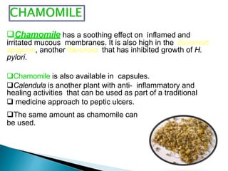 Chamomile has a soothing effect on inflamed and
irritated mucous membranes. It is also high in the flavonoid
apigenin, another flavonoid that has inhibited growth of H.
pylori.
Chamomile is also available in capsules.
Calendula is another plant with anti- inflammatory and
healing activities that can be used as part of a traditional
 medicine approach to peptic ulcers.
The same amount as chamomile can
be used.
 