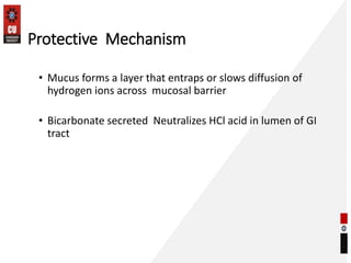 Protective Mechanism
• Mucus forms a layer that entraps or slows diffusion of
hydrogen ions across mucosal barrier
• Bicarbonate secreted Neutralizes HCl acid in lumen of GI
tract
 