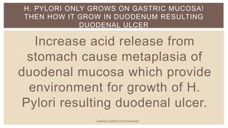 Increase acid release from
stomach cause metaplasia of
duodenal mucosa which provide
environment for growth of H.
Pylori resulting duodenal ulcer.
H. PYLORI ONLY GROWS ON GASTRIC MUCOSA!
THEN HOW IT GROW IN DUODENUM RESULTING
DUODENAL ULCER
SARANG SURESH HOTCHANDANI
 