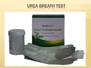 UREA BREATH TEST
 