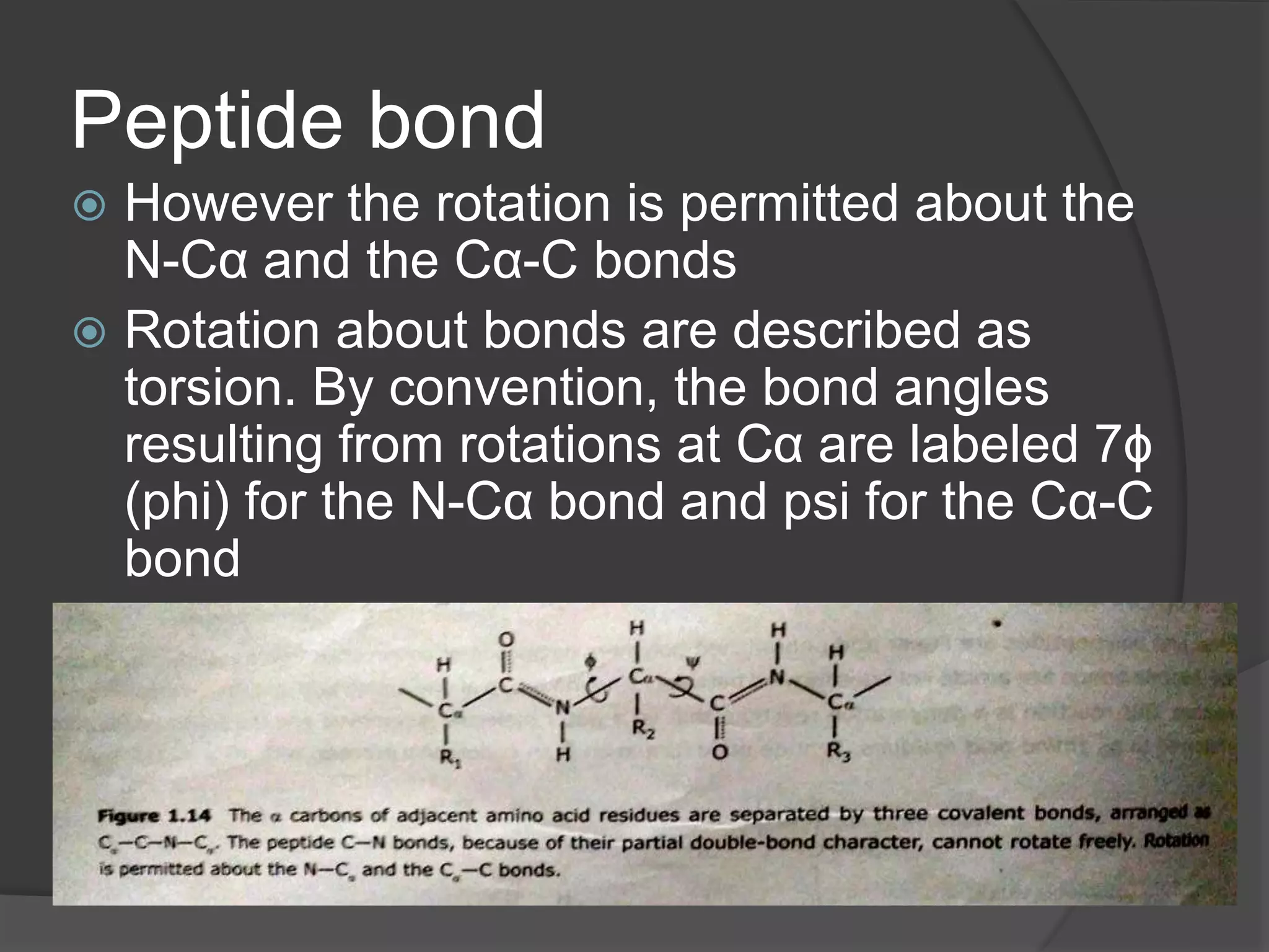 Peptide and polypeptide, protein structure.pptx