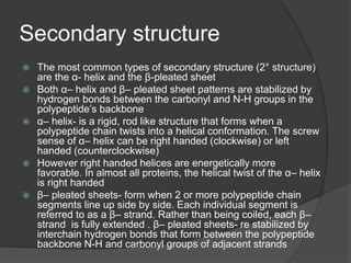 Secondary structure
 The most common types of secondary structure (2° structure)
are the α- helix and the β-pleated sheet
 Both α– helix and β– pleated sheet patterns are stabilized by
hydrogen bonds between the carbonyl and N-H groups in the
polypeptide’s backbone
 α– helix- is a rigid, rod like structure that forms when a
polypeptide chain twists into a helical conformation. The screw
sense of α– helix can be right handed (clockwise) or left
handed (counterclockwise)
 However right handed helices are energetically more
favorable. In almost all proteins, the helical twist of the α– helix
is right handed
 β– pleated sheets- form when 2 or more polypeptide chain
segments line up side by side. Each individual segment is
referred to as a β– strand. Rather than being coiled, each β–
strand is fully extended . β– pleated sheets- re stabilized by
interchain hydrogen bonds that form between the polypeptide
backbone N-H and carbonyl groups of adjacent strands
 