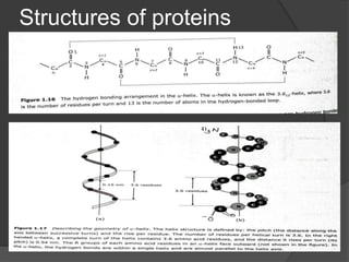 Structures of proteins
 