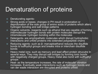 Denaturation of proteins
 Denaturating agents-
 Strong acids or bases- changes in PH result in protonation or
deprotonation of the side group of amino acids of proteins which alters
hydrogen bonding and salt bridge patterns
 Organic solvents- reagents such as ethanol that are capable of forming
intermolecular hydrogen bonds with protein molecules disrupt the
intramolecular hydrogen bonding within the molecules
 Detergents- are amphipathetic molecules which disrupt hydrophobic
interactions and unfold proteins into extended polypeptide chains
 Reducing agents- such as β- marcaptoethanol reduces the disulfide
bonds to sulfhydryl groups and breaks intra or interchain disulfide
bonds
 Heavy metal ions- such as mercury and lead affect protein strucutre In
several ways. They may disrupt salt bridges by forming ionic bonds
with negatively charged groups. Heavy metal also bond with sulfhydryl
groups
 Heat- as the temperature increases, the rate of molecular vibration
increases. Eventually weak interactions such as hydrogen bonds and
van der waals interaction are disrupted and proteins unfold
 