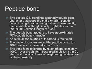 Peptide bond
 The peptide C-N bond has a partially double bond
character that keeps the entire 6- atom peptide
group in a rigid planar configuration. Consequently,
the peptide bond length is only 1.33Å shorter than
the usual C-N bond length of 1.45Å
 The peptide bond appears to have approximately
40% double bond character
 As a result, the rotation of this bond is restricted
 The angle of rotation around the peptide bond, Ɯ=
180°trans and occasionally Ɯ= 0° cis
 The trans form is favored by ration of approximately
1000:1 over the cis form becaused in cis form the Cα
atom and the side chains of neighboring residues are
in close proximity
 