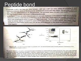 Peptide bond
 
