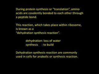 During protein synthesis or “translation”, amino
acids are covalently bonded to each other through
a peptide bond.
This reaction, which takes place within ribosome,
is known as a
“dehydration synthesis reaction”.
dehydration: loss of water
synthesis : to build
Dehydration synthesis reaction are commonly
used in cells for anabolic or synthesis reaction.