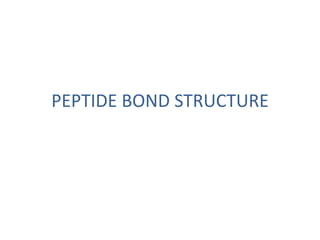 PEPTIDE BOND STRUCTURE 
