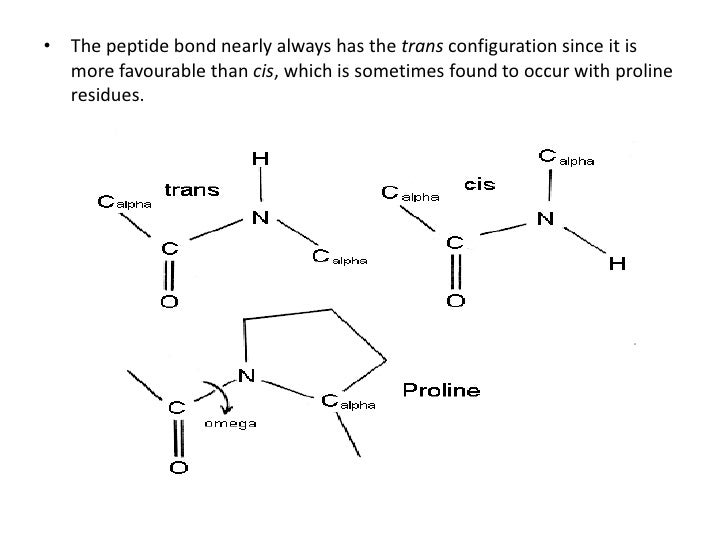 diagram of peptide bond peptide bond structure diagram of peptide bond peptide bond structure