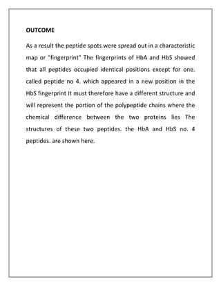 OUTCOME
As a result the peptide spots were spread out in a characteristic
map or "fingerprint" The fingerprints of HbA and HbS showed
that all peptides occupied identical positions except for one.
called peptide no 4. which appeared in a new position in the
HbS fingerprint It must therefore have a different structure and
will represent the portion of the polypeptide chains where the
chemical difference between the two proteins lies The
structures of these two peptides. the HbA and HbS no. 4
peptides. are shown here.
 