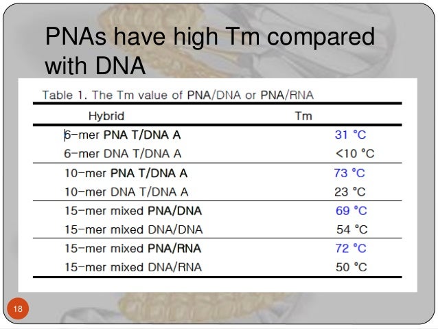 peptide nucleic acid