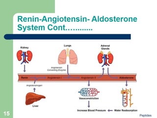 Peptides Biochemistry Ppt Free Download