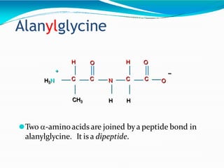 Alanylglycine
CH3
O
C
H3N
+
H
C
O
C
N
H
H
C O
–
H
⚫Two -aminoacids are joined bya peptide bond in
alanylglycine. It is a dipeptide.
 