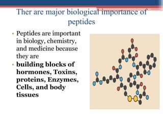 Ther are major biological importance of
peptides
• Peptides are important
in biology, chemistry,
and medicine because
they are
• building blocks of
hormones, Toxins,
proteins, Enzymes,
Cells, and body
tissues
 