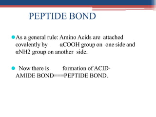 PEPTIDE BOND
⚫As a general rule: Amino Acids are attached
covalently by αCOOH group on one side and
αNH2 group on another side.
⚫ Now there is formation of ACID-
AMIDE BOND===PEPTIDE BOND.
 