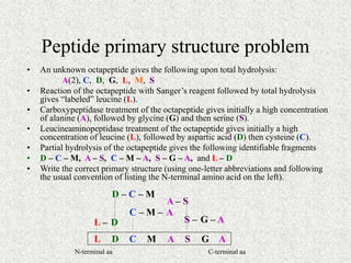 Peptide primary structure problem
• An unknown octapeptide gives the following upon total hydrolysis:
A(2), C, D, G, L, M,...