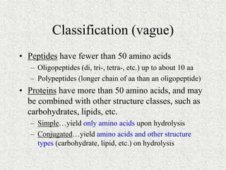 Classification (vague)
• Peptides have fewer than 50 amino acids
– Oligopeptides (di, tri-, tetra-, etc.) up to about 10 a...