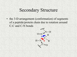 Secondary Structure
• the 3-D arrangement (conformation) of segments
of a peptide/protein chain due to rotation around
C-C...