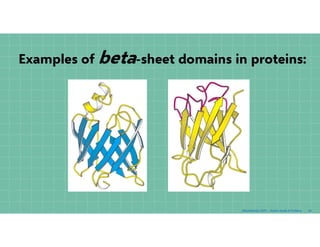 Peptidnmcedkvjnsdkjvnsdkjvnefvdes proteins ppt.pdf