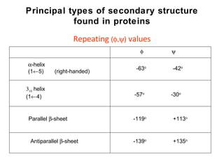 Principal types of secondary structure found in proteins Repeating  (  )  values -63 o   -42 o  -57 o   -30 o  -119 o   +113 o  -139 o   +135 o      -helix (1  5)  (right-handed)    helix (1  4) Parallel   -sheet Antiparallel   -sheet 