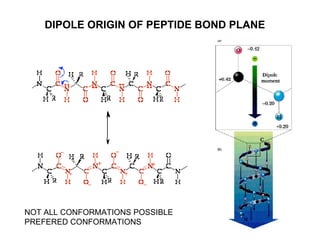 DIPOLE ORIGIN OF PEPTIDE BOND PLANE NOT ALL CONFORMATIONS POSSIBLE PREFERED CONFORMATIONS 