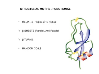 STRUCTURAL MOTIFS - FUNCTIONAL HELIX -    -HELIX, 3-10 HELIX  -SHEETS (Parallel, Anti-Parallel  -TURNS RANDOM COILS 