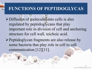 FUNCTIONS OF PEPTIDOGLYCAS
Diffusion of molecules into cells is also
regulated by peptidoglycans that play
important role in division of cell and anchoring
structure for cell wall, teichoic acid.
Peptidoglycan fragments are also release by
some bacteria that play role in cell to cell
communication [12][11].
20
 