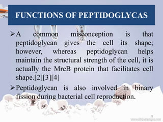 FUNCTIONS OF PEPTIDOGLYCAS
A common misconception is that
peptidoglycan gives the cell its shape;
however, whereas peptidoglycan helps
maintain the structural strength of the cell, it is
actually the MreB protein that facilitates cell
shape.[2][3][4]
Peptidoglycan is also involved in binary
fission during bacterial cell reproduction.
21
 