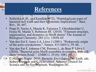 References
• Schleifer, K.H., and Kandler(1972), “Peptidoglycan types of
bacterial cell walls and their taxonomic implications”. Bact.
Rev., 36, 407.
• Popp D, Narita A, Maeda K, Fujisawa T, Ghoshdastider U,
Iwasa M, Maéda Y, Robinson RC (2010). "Filament structure,
organization, and dynamics in MreB sheets".The Journal of
Biological Chemistry. 285 (21): 15858–65
• Van den Ent F, Amos LA, Löwe J (2001). "Prokaryotic origin
of the actin cytoskeleton.". Nature. 413 (6851): 39–44.
• Van den Ent F, Johnson CM, Persons L, de Boer P, Löwe J
(2010). "Bacterial actin MreB assembles in complex with cell
shape protein RodZ.". EMBO J. 29 (6): 1081–90.
• C.Michael Hogan. 2010. Bacteria. Encyclopedia of Earth. eds.
Sidney Draggan and C.J.Cleveland, National Council for
Science and the Environment, Washington DC.
22
 