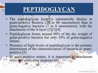 PEPTIDOGLYCAN
• The peptidoglycan layer is substantially thicker in
gram-positive bacteria (20 to 80 nanometers) than in
gram-negative bacteria (7 to 8 nanometers), with the
attachment of the S-layer [2][3][4].
• Peptidoglycan forms around 90% of the dry weight of
gram-positive bacteria but only 10% of gram-negative
strains.
• Presence of high levels of peptidoglycan is the primary
determinant of the characterization of bacteria as gram-
positive.[5]
• In gram-positive strains, it is important in attachment
roles and serotyping purposes.[6]
6
 