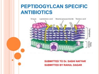 PEPTIDOGYLCAN SPECIFIC
ANTIBIOTICS
SUBMITTED TO Dr. SASHI NAYYAR
SUBMITTED BY RAHUL DAGAR
 