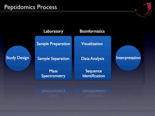 Peptidomics Process
 
